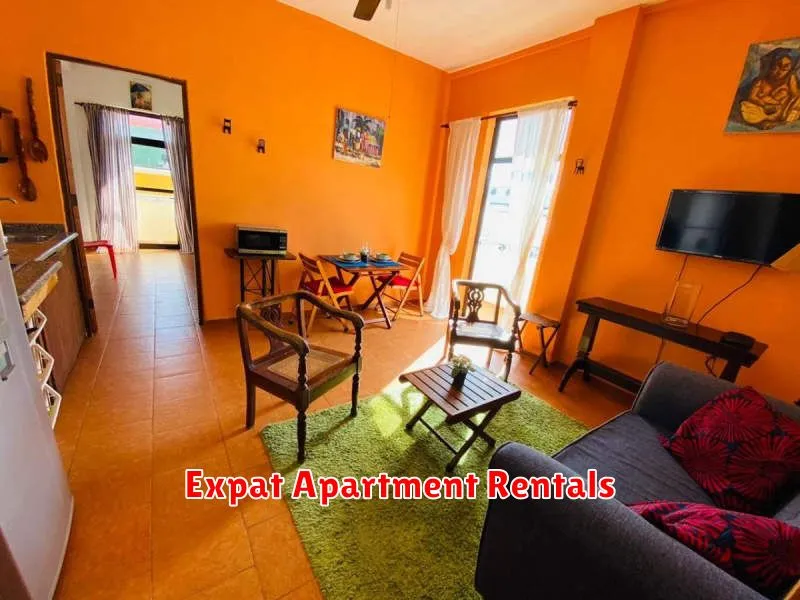 Expat Apartment Rentals