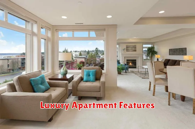 Luxury Apartment Features