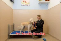 Pet-Friendly Boarding