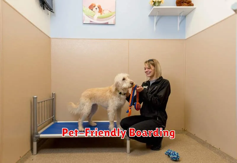 Pet-Friendly Boarding