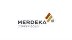 Merdeka Copper Gold company logo