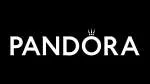 Pandora Net company logo