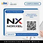 PT Norxel Teknologi Indonesia company icon