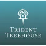 Pt. Trident Treehouse Consultancy company icon