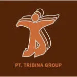 Tribina Group company icon