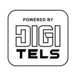 PT DIGITAL HOTEL INDONESIA (DIGITELS) company icon