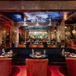 Shishi Bali company icon