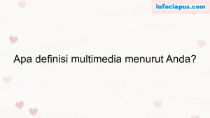 Apa definisi multimedia menurut Anda?