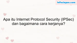 Apa itu Internet Protocol Security (IPSec) dan bagaimana cara kerjanya?