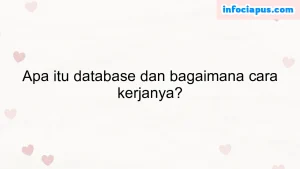 Apa itu database dan bagaimana cara kerjanya?