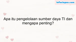 Apa itu pengelolaan sumber daya TI dan mengapa penting?