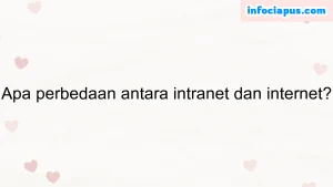 Apa perbedaan antara intranet dan internet?