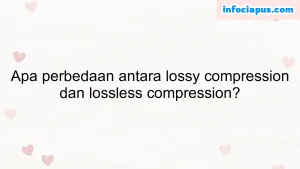 Apa perbedaan antara lossy compression dan lossless compression?