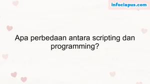 Apa perbedaan antara scripting dan programming?