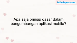 Apa saja prinsip dasar dalam pengembangan aplikasi mobile?