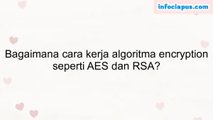 Bagaimana cara kerja algoritma encryption seperti AES dan RSA?