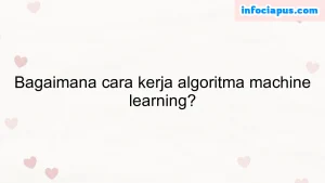 Bagaimana cara kerja algoritma machine learning?