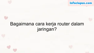 Bagaimana cara kerja router dalam jaringan?