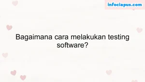 Bagaimana cara melakukan testing software?