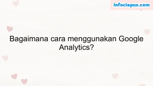 Bagaimana cara menggunakan Google Analytics?