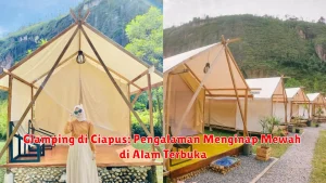 Glamping di Ciapus: Pengalaman Menginap Mewah di Alam Terbuka