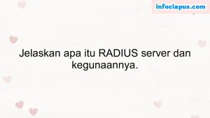 Jelaskan apa itu RADIUS server dan kegunaannya.