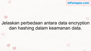 Jelaskan perbedaan antara data encryption dan hashing dalam keamanan data.