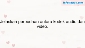 Jelaskan perbedaan antara kodek audio dan video.