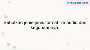 Sebutkan jenis-jenis format file audio dan kegunaannya.